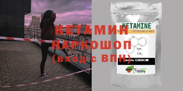 СК Новодвинск