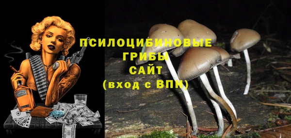 СК Новодвинск