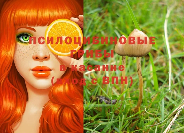 мдпв Валдай