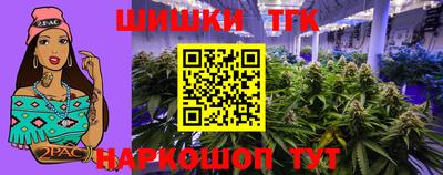 крисы Гай