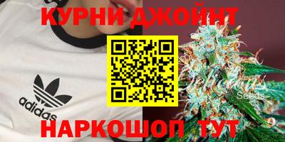 ПСИЛОЦИБИНОВЫЕ ГРИБЫ Гатчина