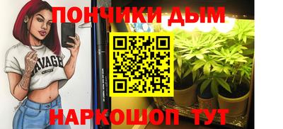 крисы Гай