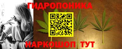 крисы Гай