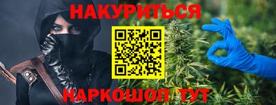 крисы Гай
