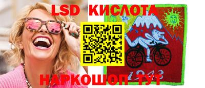 ПСИЛОЦИБИНОВЫЕ ГРИБЫ Гатчина