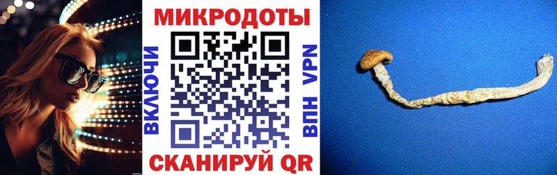 купить наркотик  Хабаровск  Галлюциногенные грибы Cubensis 
