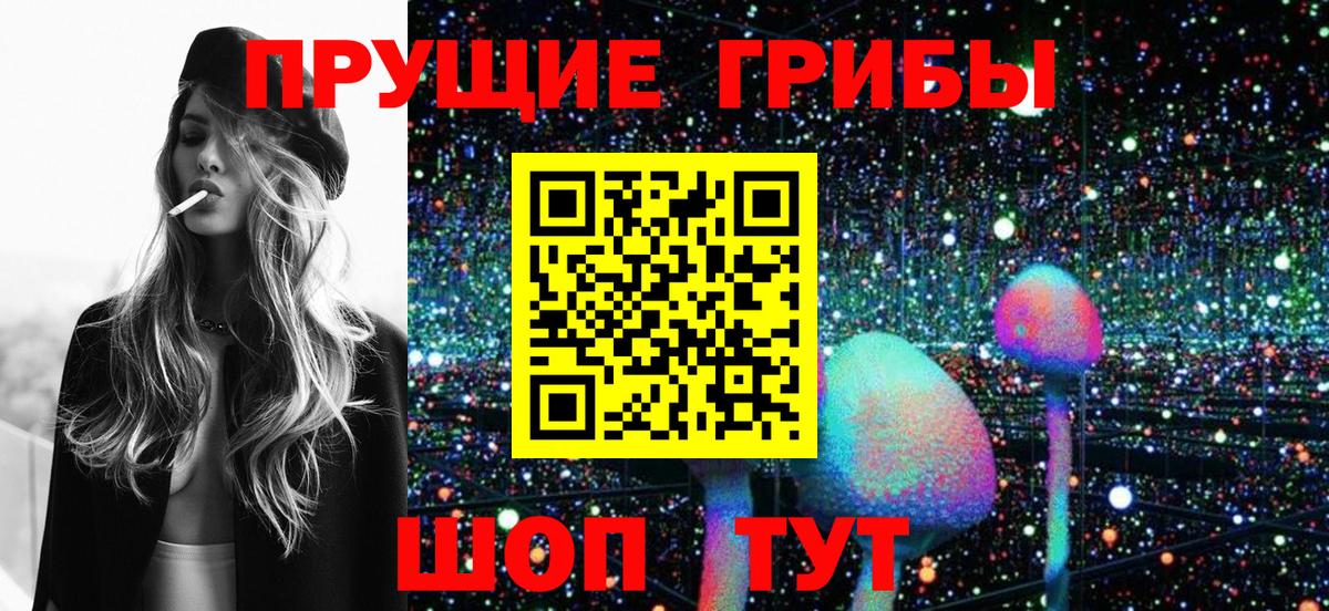 Галлюциногенные грибы Cubensis Хабаровск